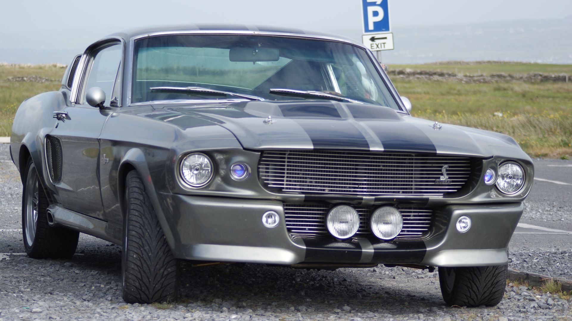 File:Shelby Mustang GT500