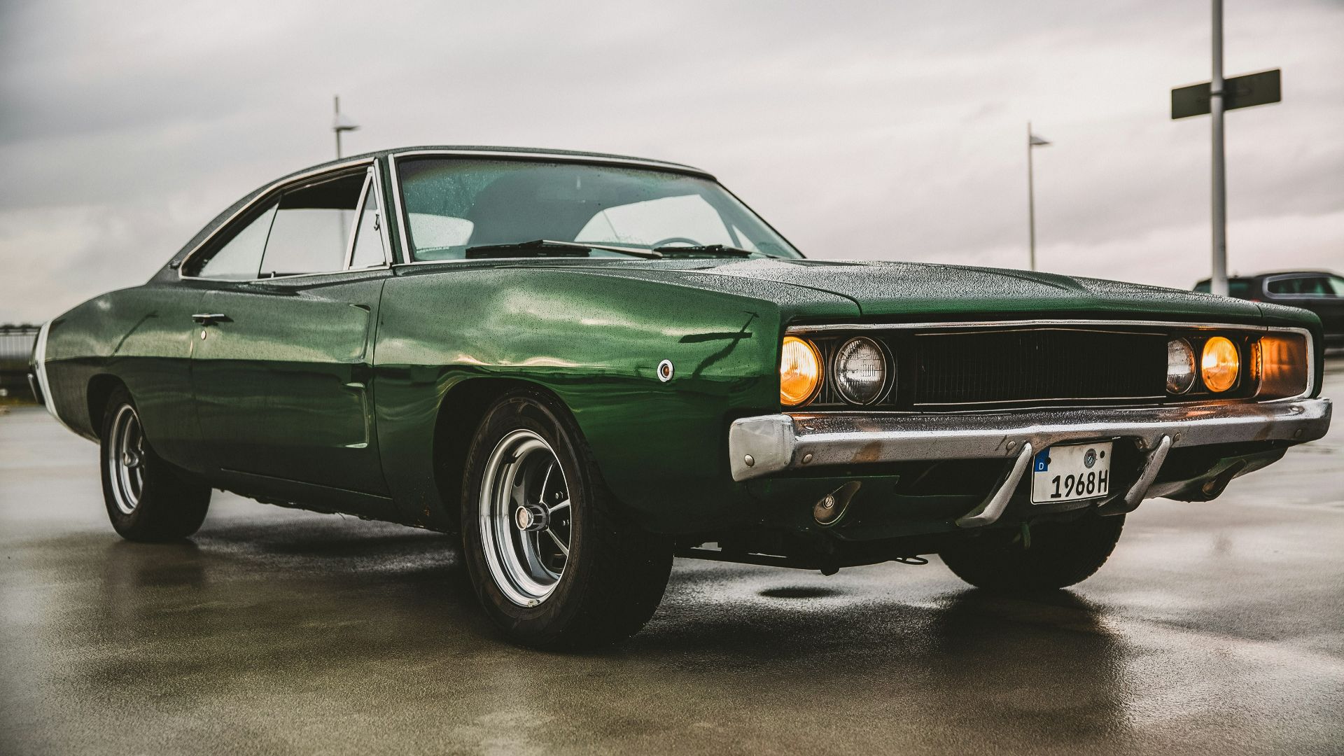 green chevrolet camaro on gray asphalt road during daytime