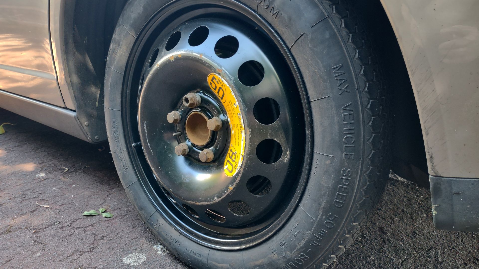 File:Project 366 -188 060724 Feeling Flat (53839732221).jpg