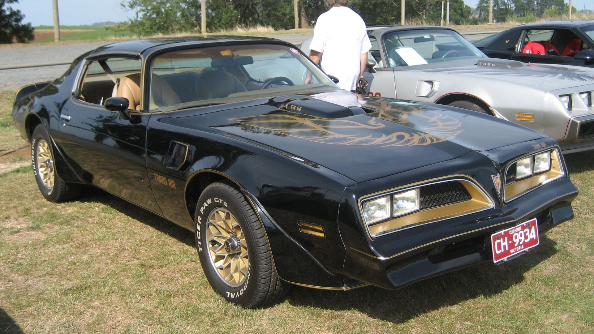 File:Pontiac Firebird Transam SE 1977.jpg