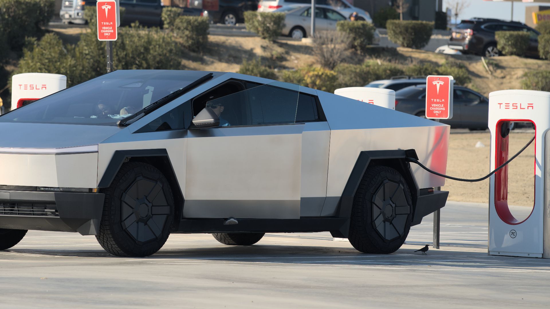 File:Cybertruck supercharging at Bravoland.jpg