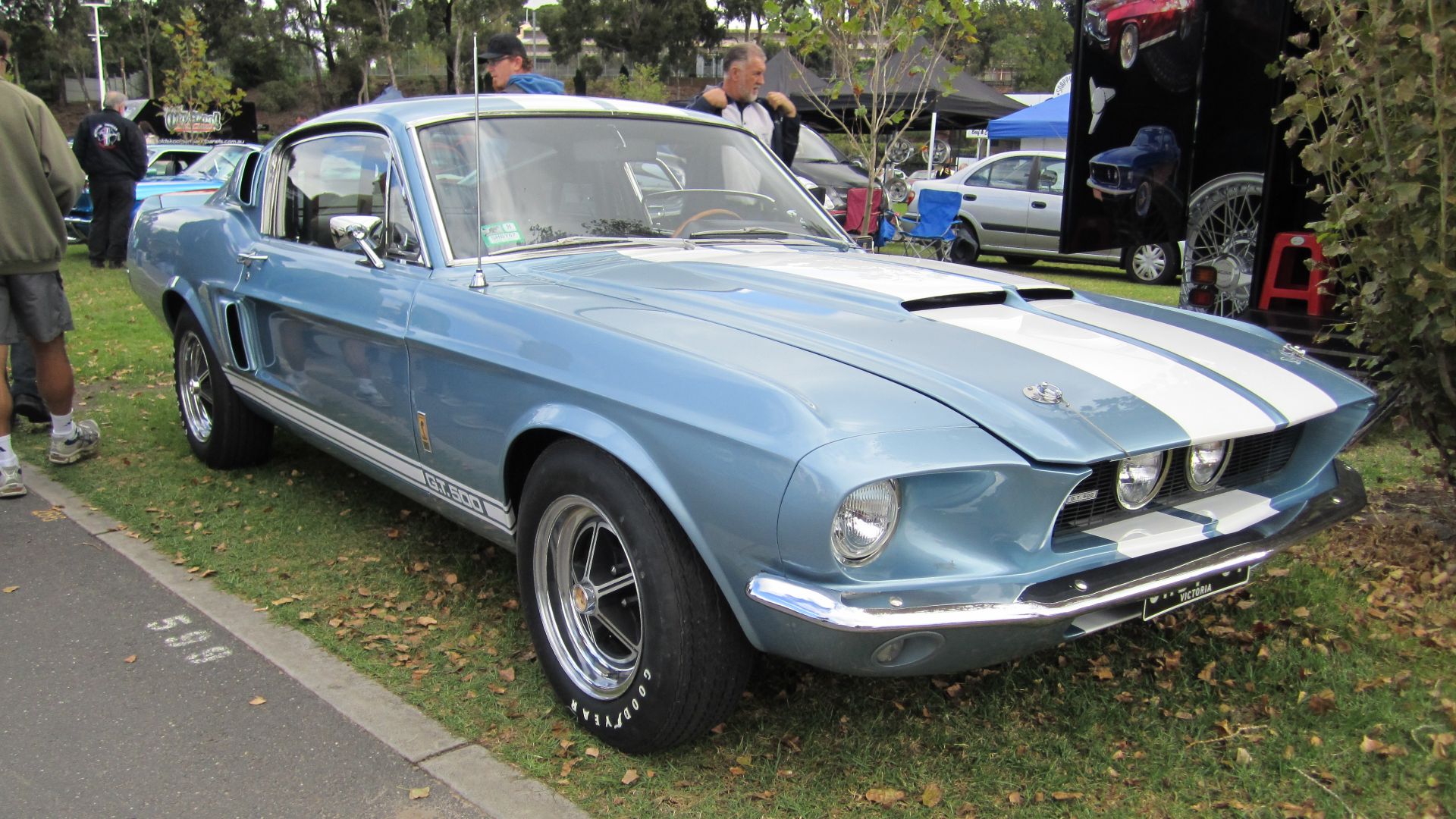File:Shelby Mustang GT500 1967.jpg