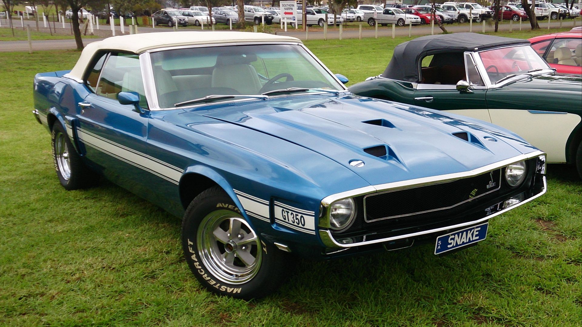 File:1969 Shelby GT 350 Convertible.JPG