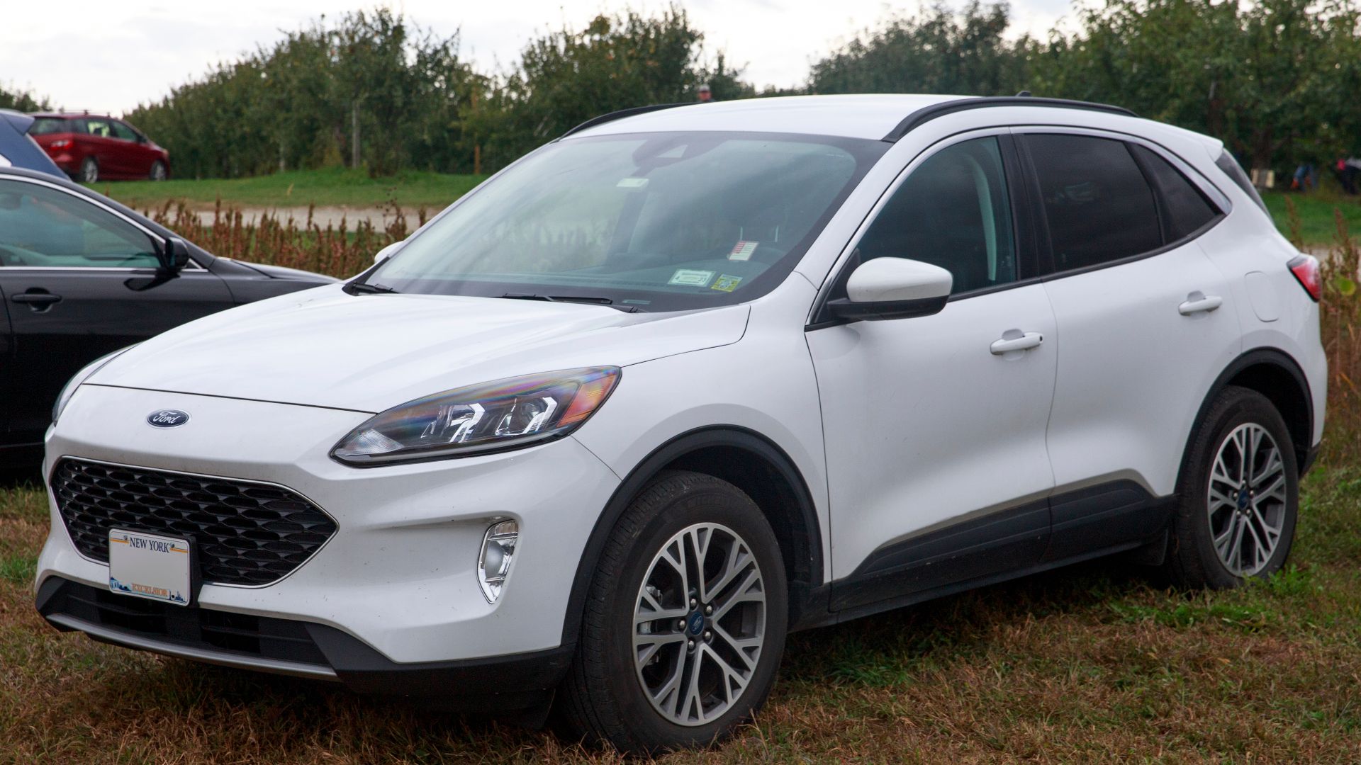 File:2021 Ford Escape Hybrid SEL AWD in Oxford White, front left.jpg
