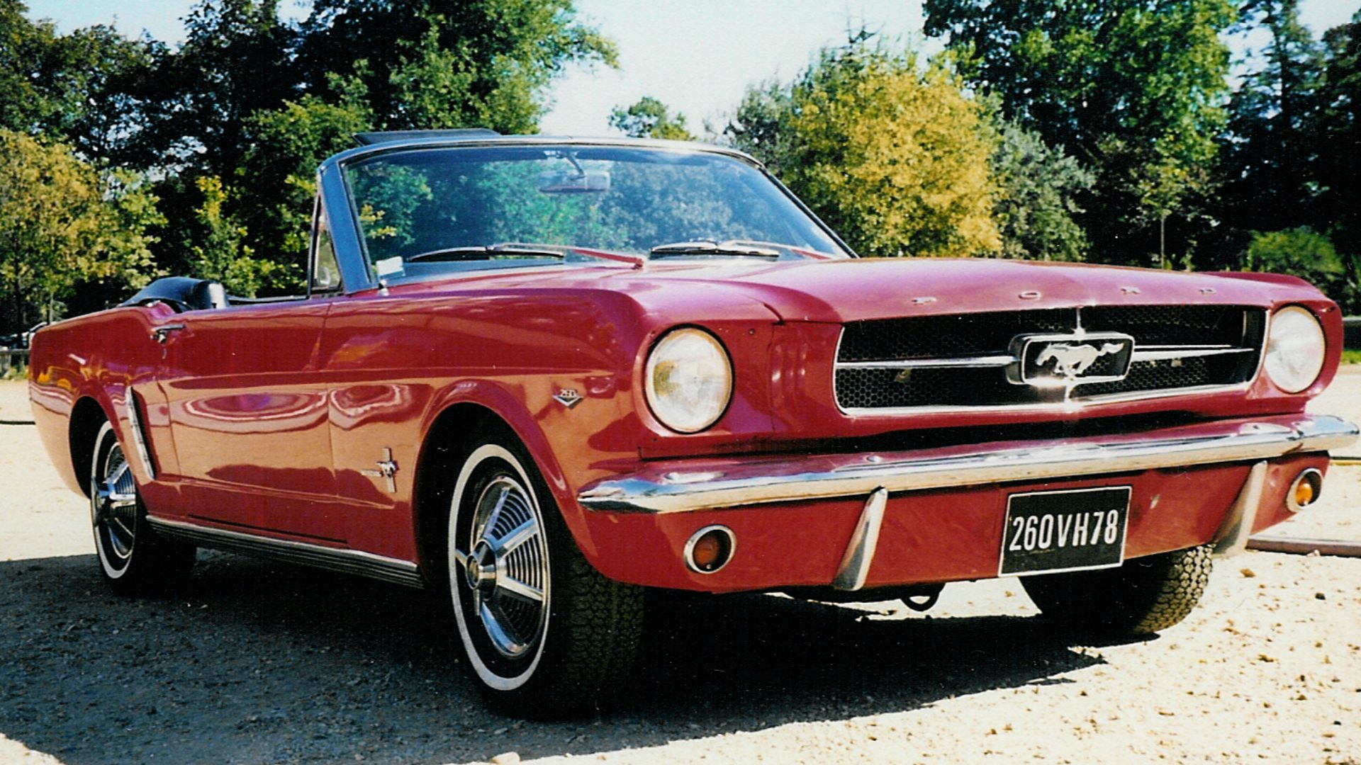 File:Mustang 65 du film