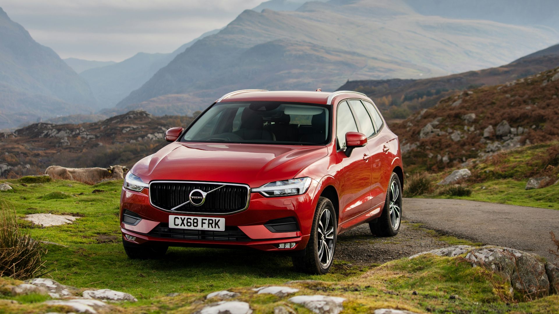 red Volvo SUV parking on green field
