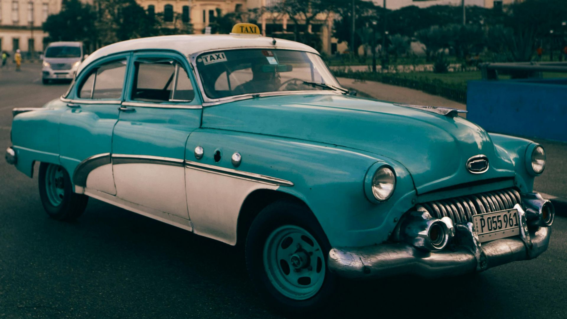 Mehmet Turgut  Kirkgoz