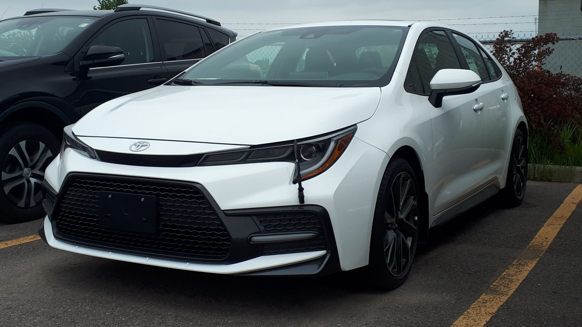 File:Corolla XRS 07-10-2019.jpg