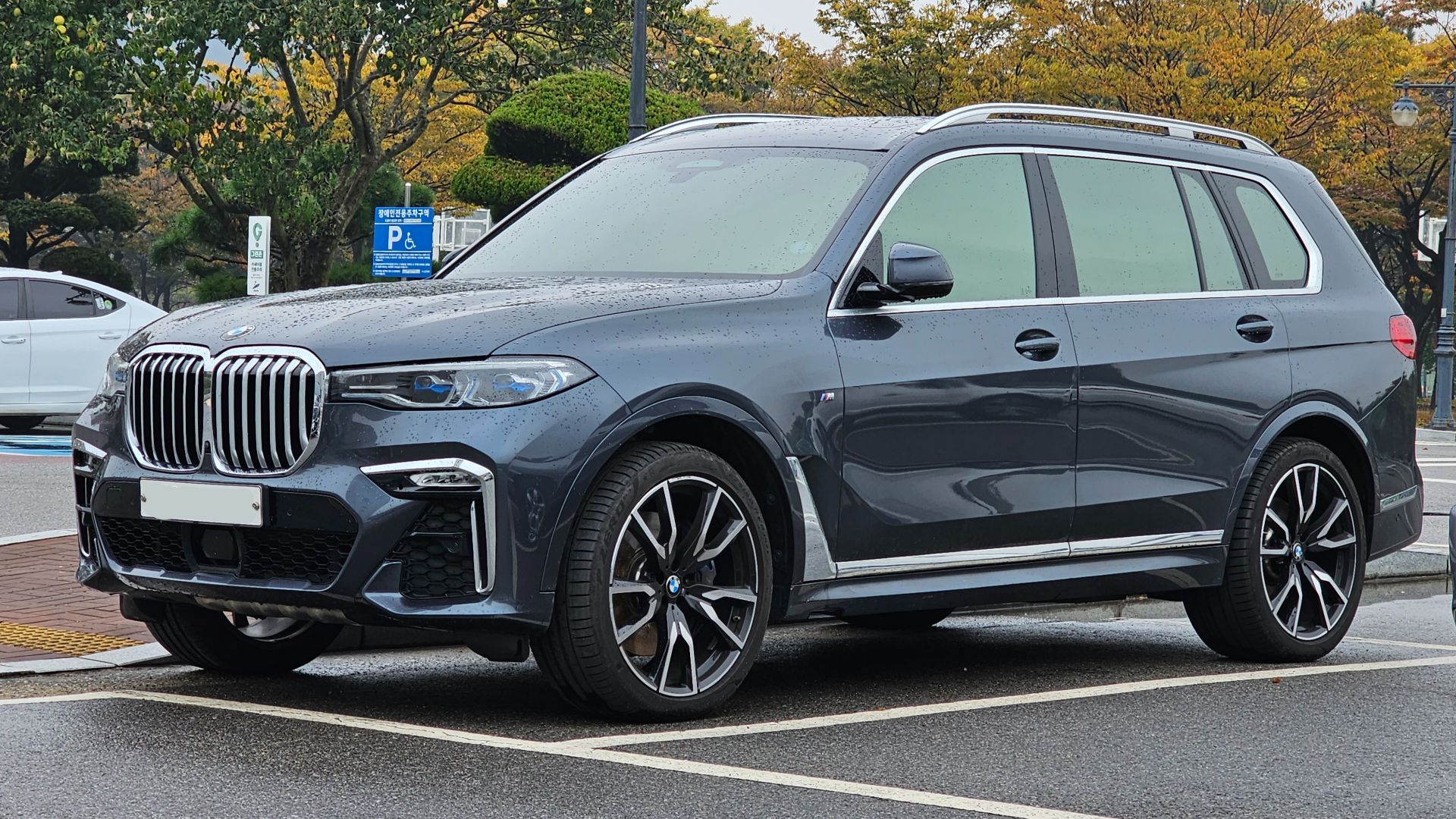 File:BMW G07 X7 xDrive30d M Sport Arctic Grey Metallic (8).jpg