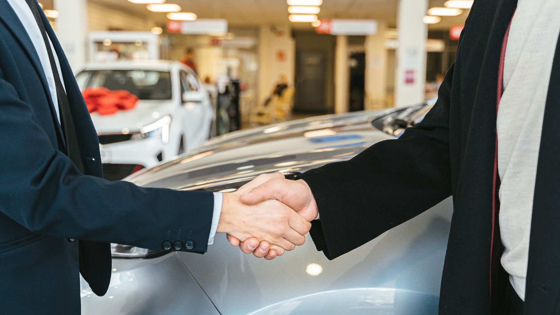 Antoni Shkraba Studio