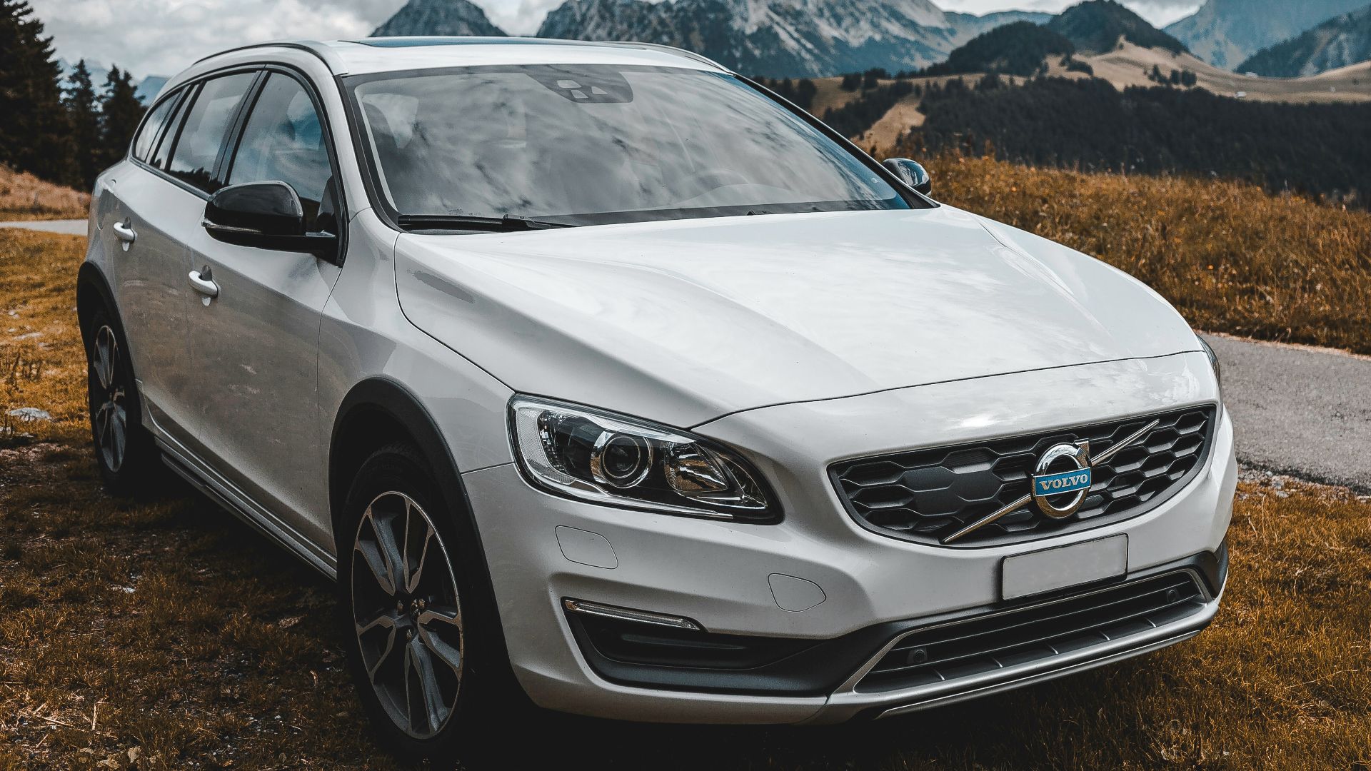 white Volvo SUV beside roadway
