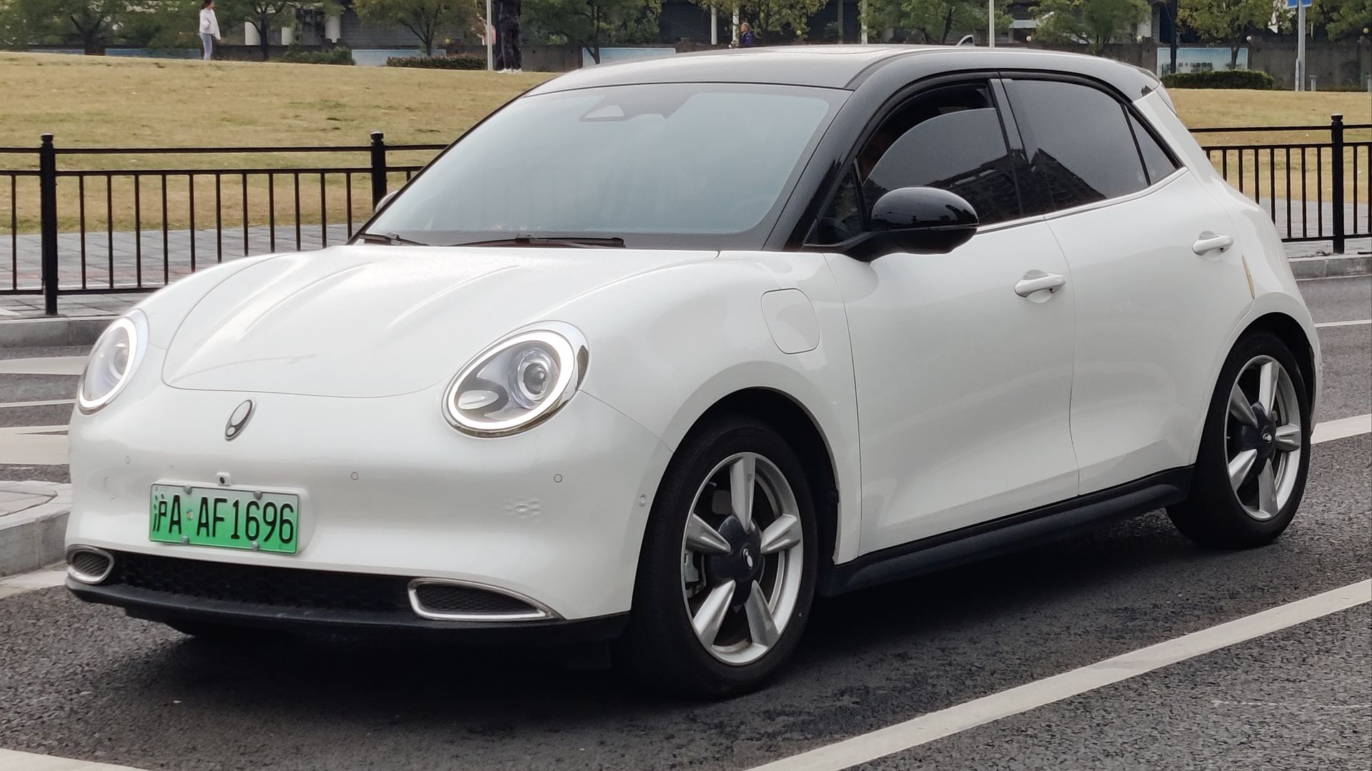 File:ORA Good Cat 002 (cropped).jpg