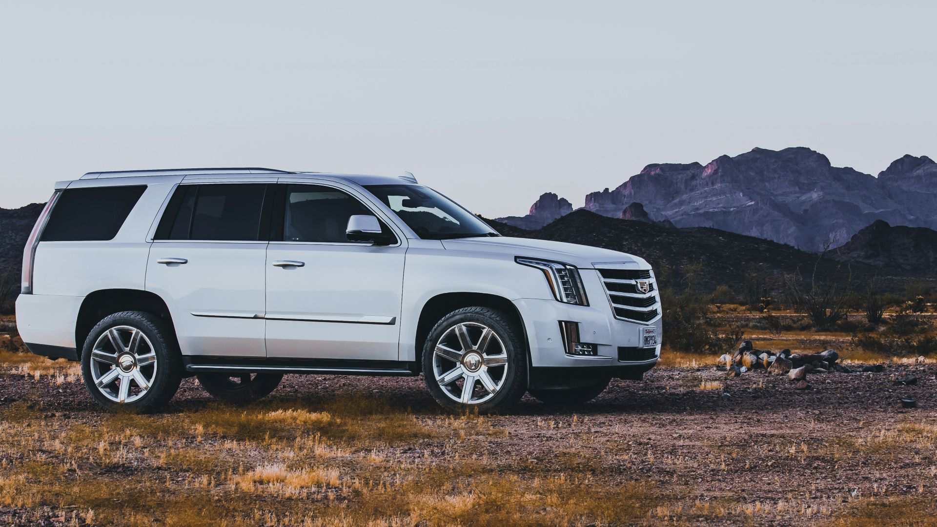 white suv on brown field during daytime