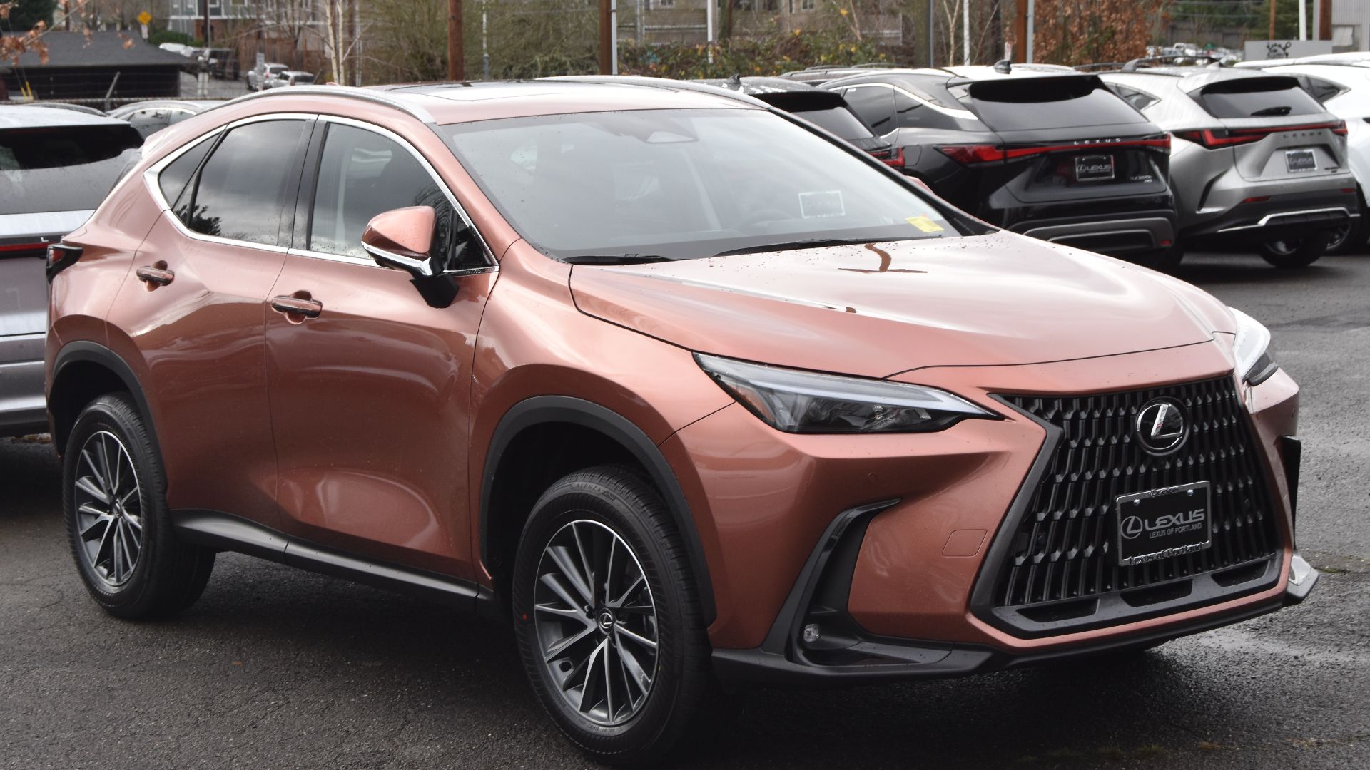File:2024 Lexus NX.jpg