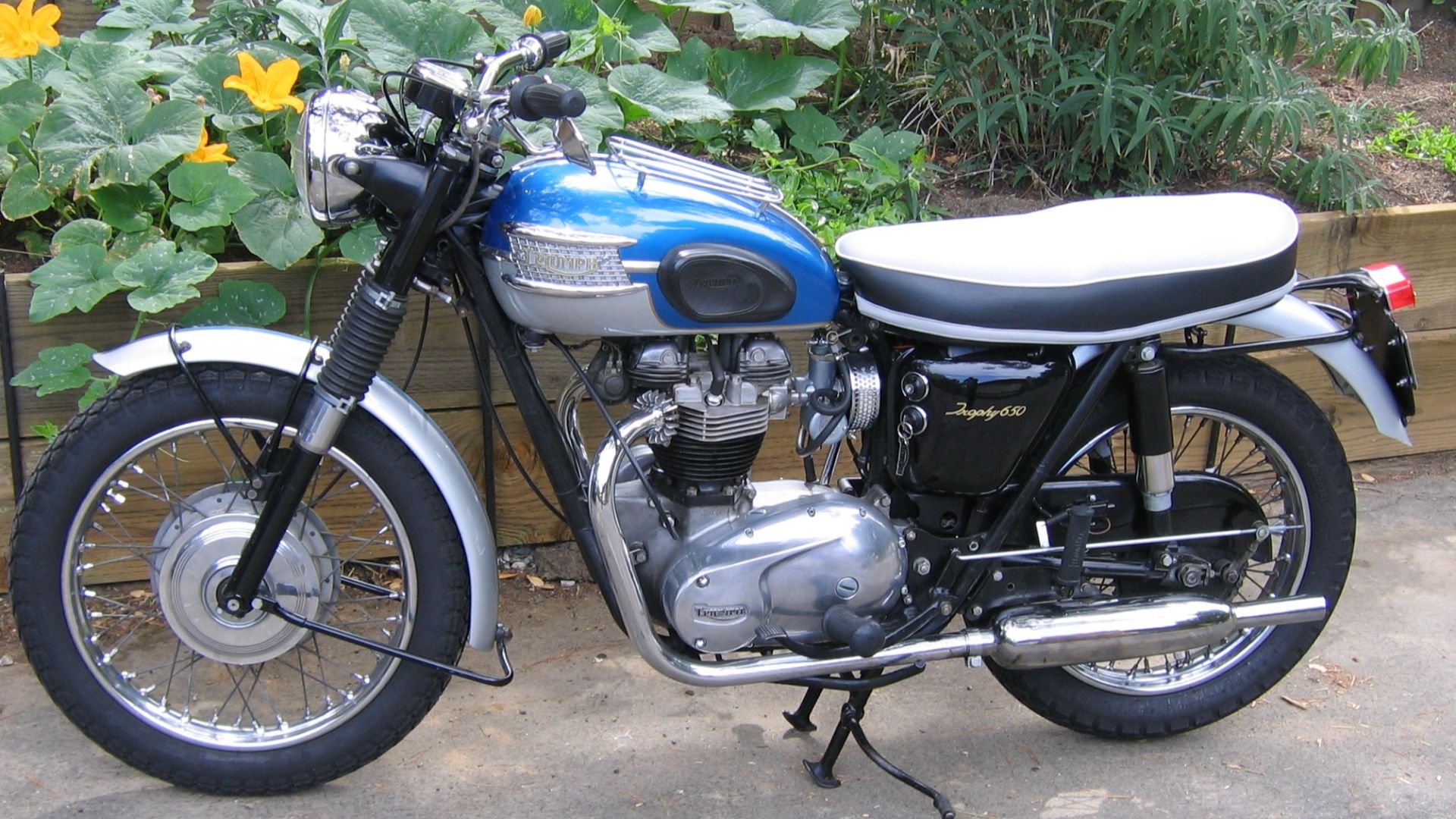 File:Triumph Trophy TR6R 1964.jpg
