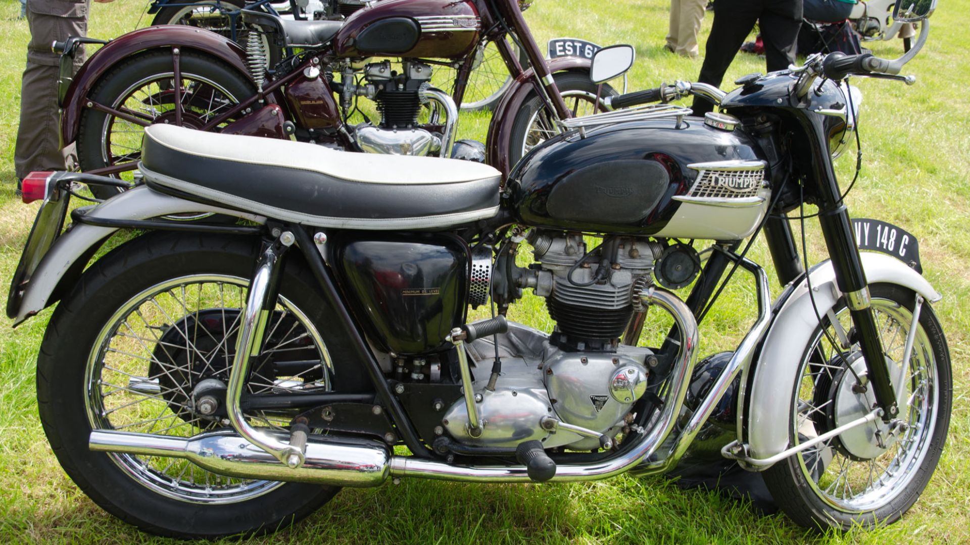 File:Triumph 6T Thunderbird (1965) - 15279298551.jpg