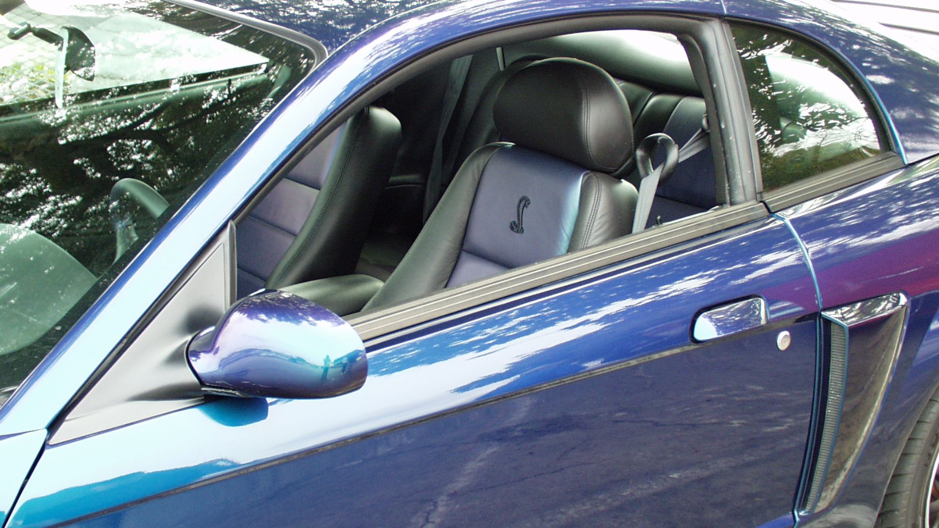 File:2004 Mystichrome seats.JPG