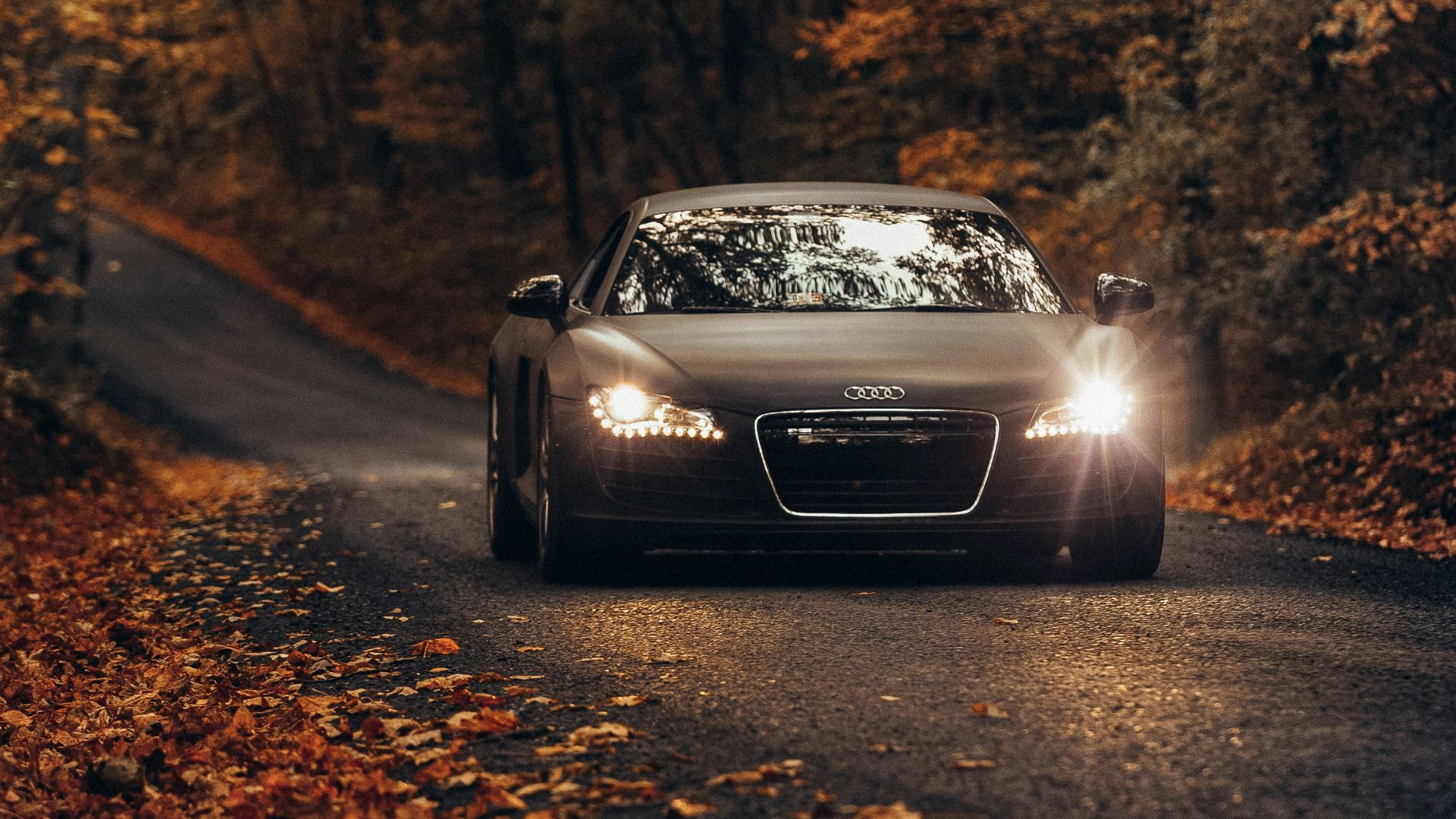 black vehicle on road between trees during daytime