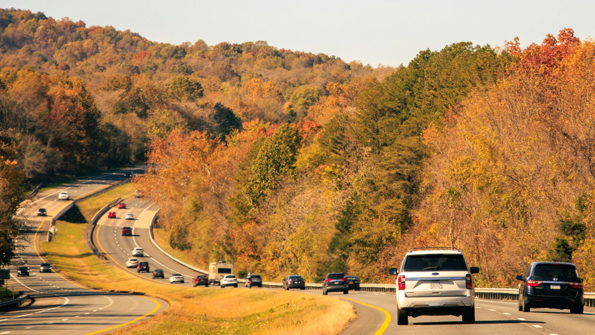 a group of cars driving down a road next to a forest