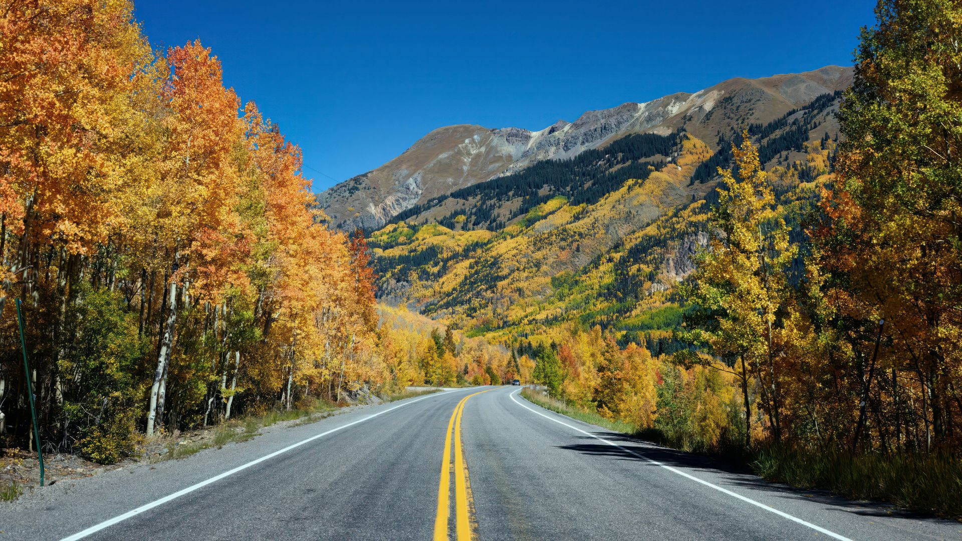 Vivid fall colors on the Million-Dollar Highway between Ouray and Silverton in San Juan County, Colorado