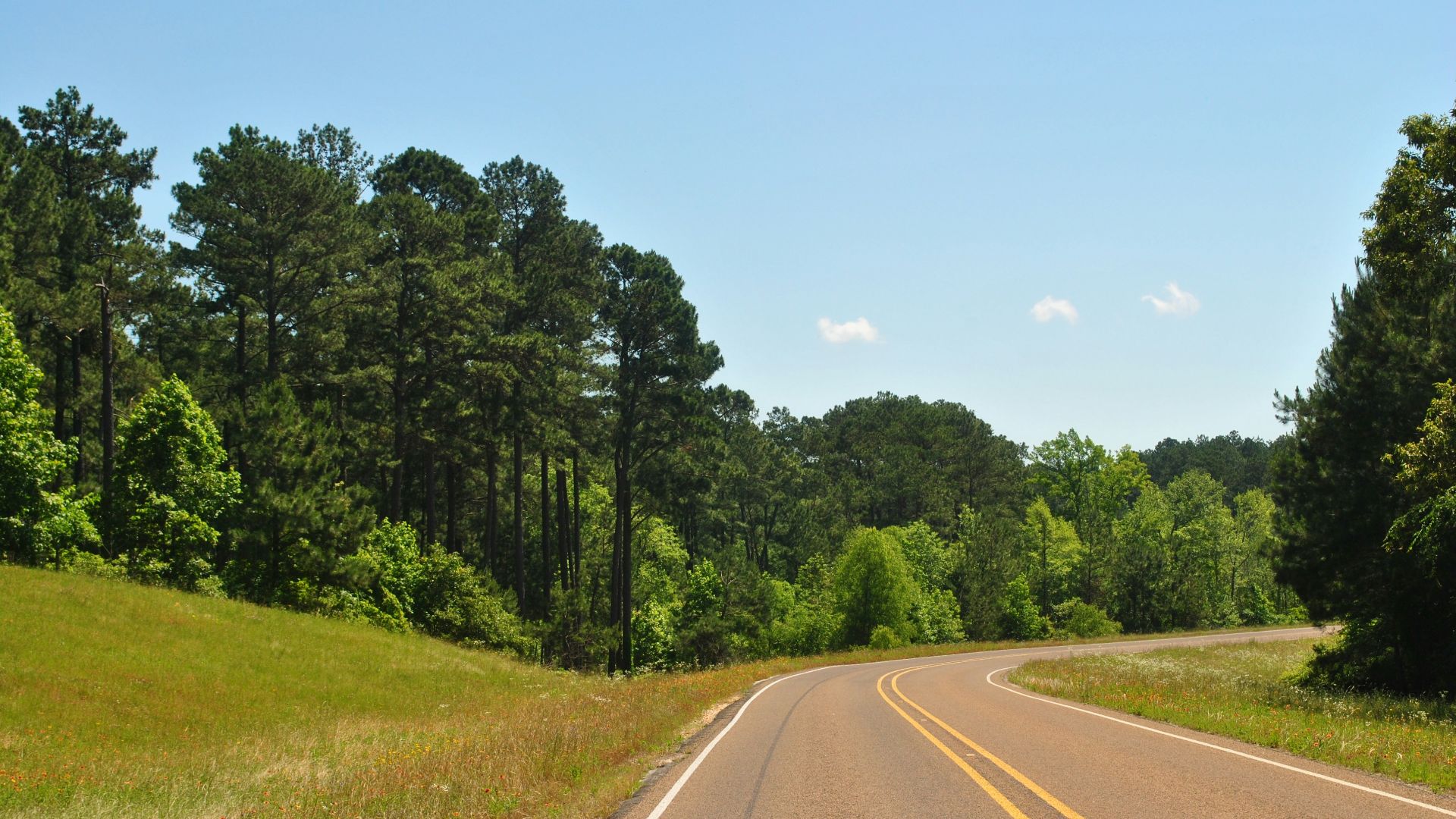 green trees near road during daytime