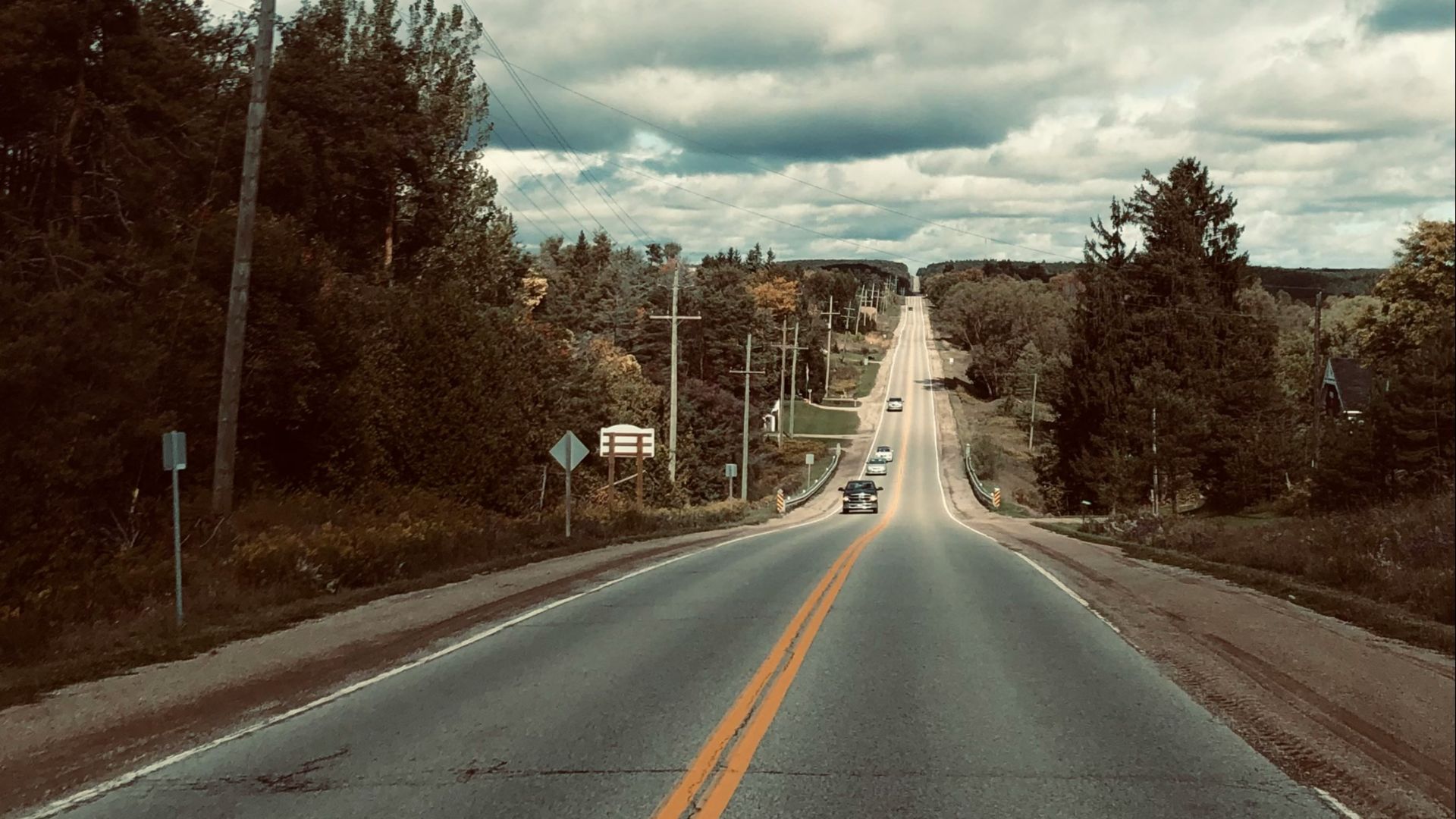 gray concrete road between trees under blue sky and white clouds during daytime