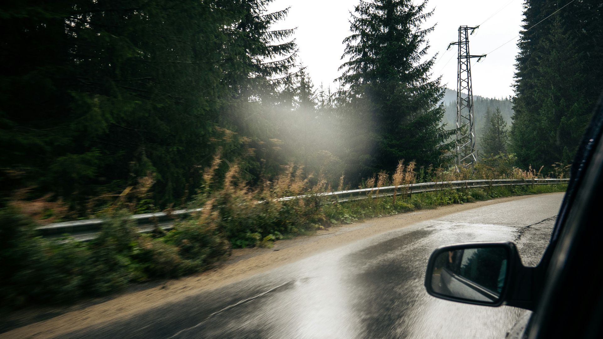 A car driving down a road next to a forest