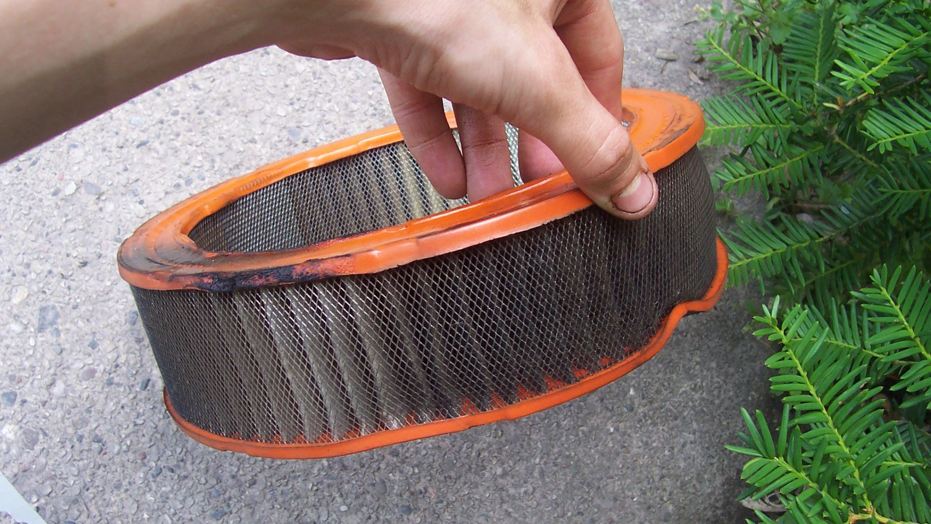 File:Dirty-air-filter.jpg