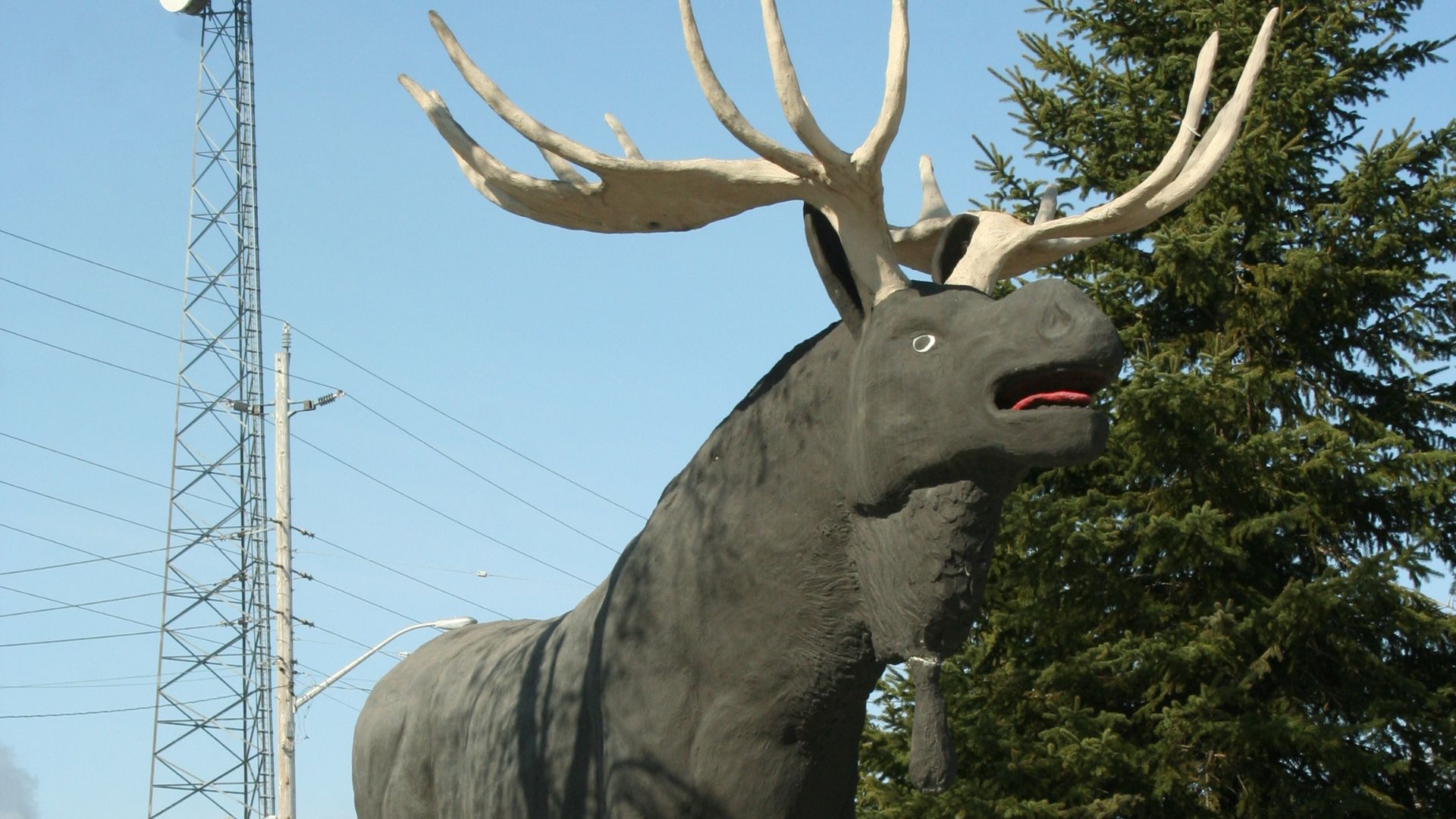 File:Maxthemoose.jpg