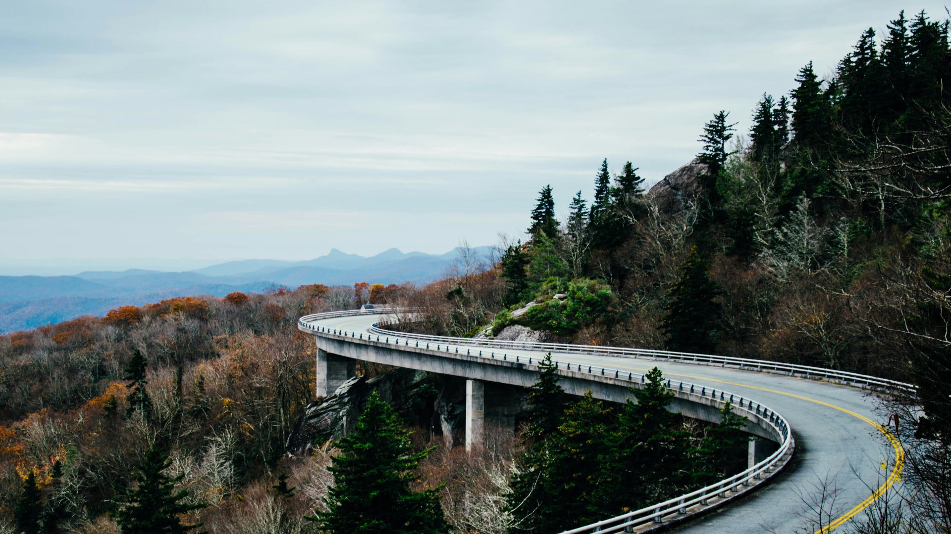 curvy gray concrete road surrounded with trees at daytime
