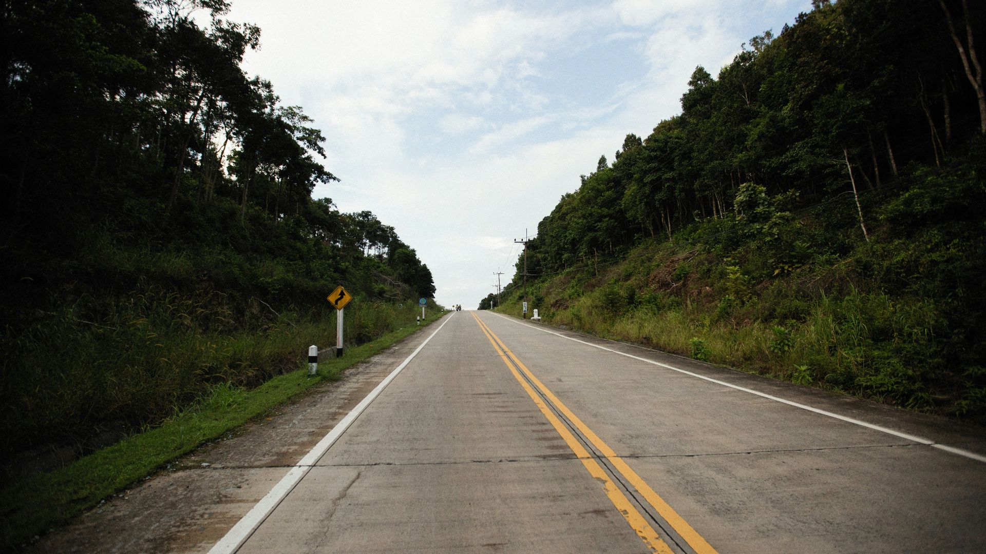 an empty road in the middle of a forest