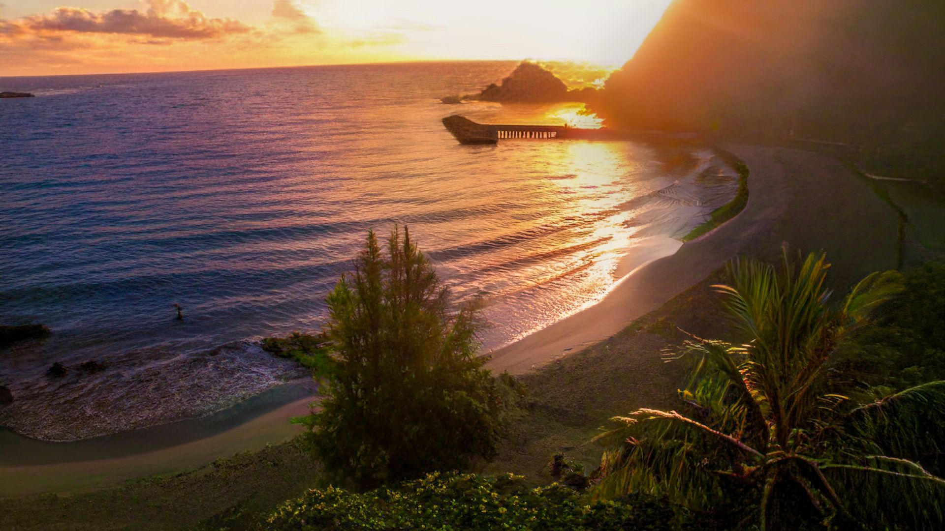 a beach with a body of water and a land with trees