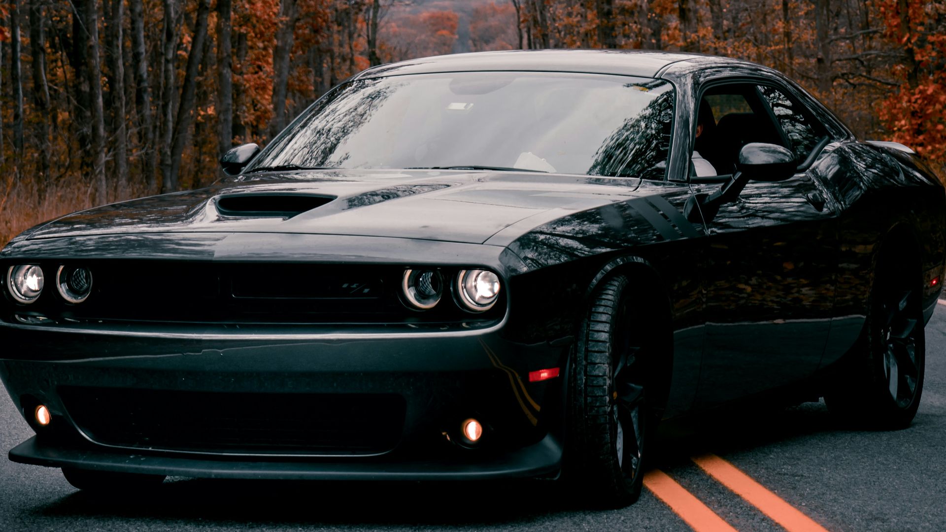 black porsche 911 on road near trees during daytime
