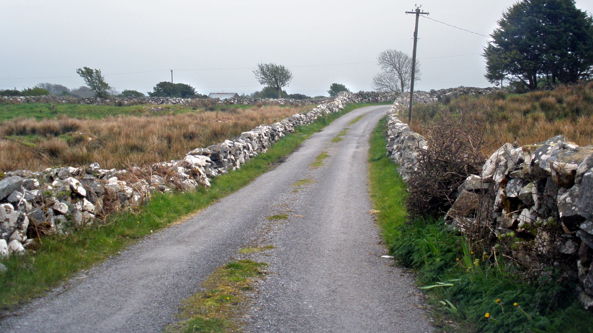 File:Boreen in Spiddal.jpg