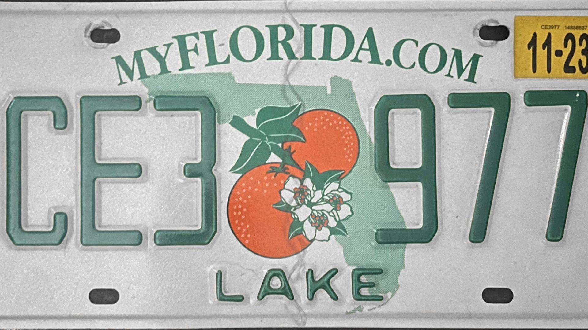 File:Current Florida Design with Lake County Plate.jpg