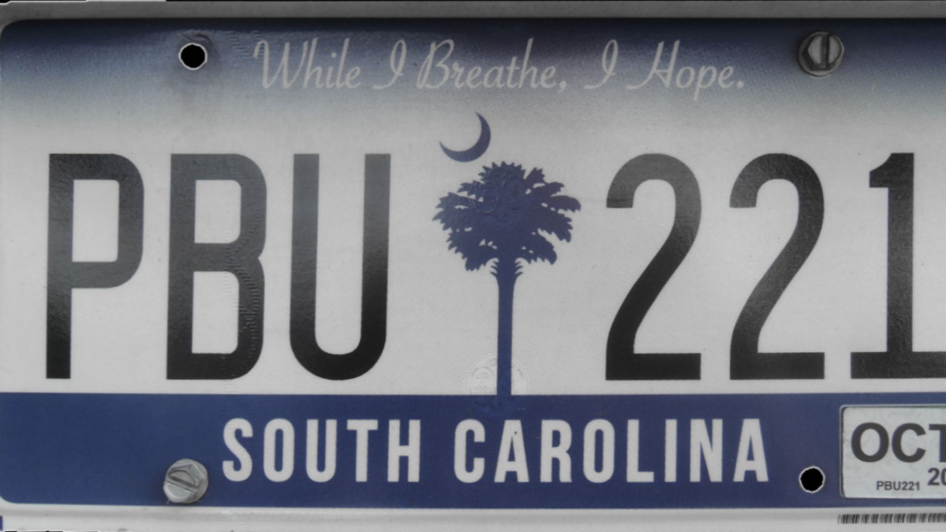 File:2020 South Carolina passenger car rear license plate.png