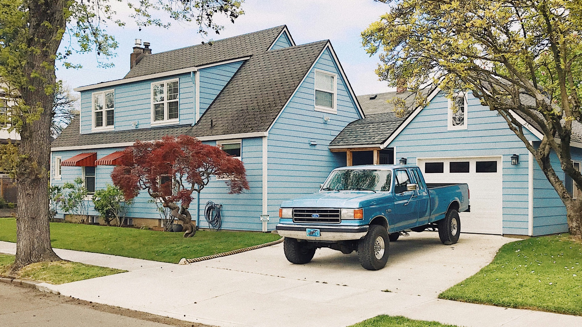 blue and white single cab pickup truck parked near green tree during daytime