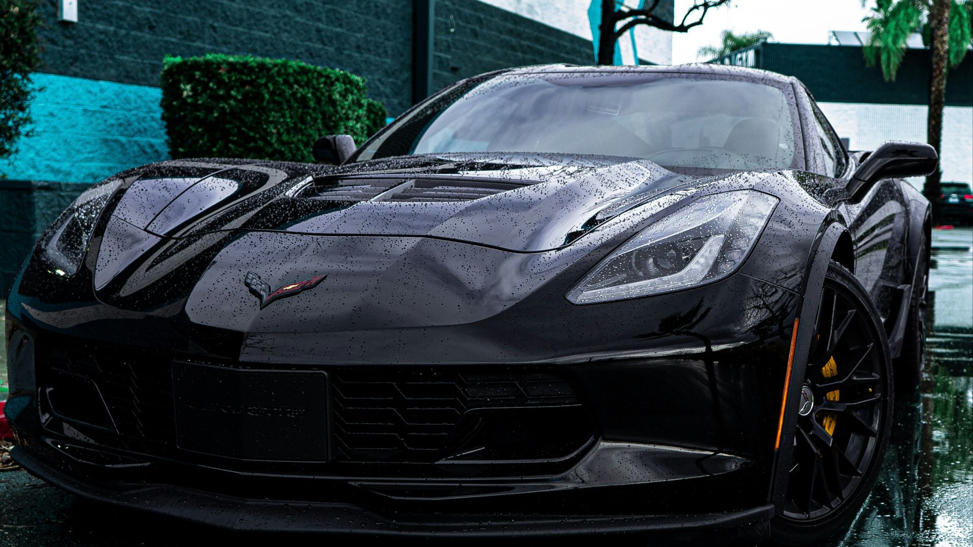 black porsche 911 parked on street during daytime