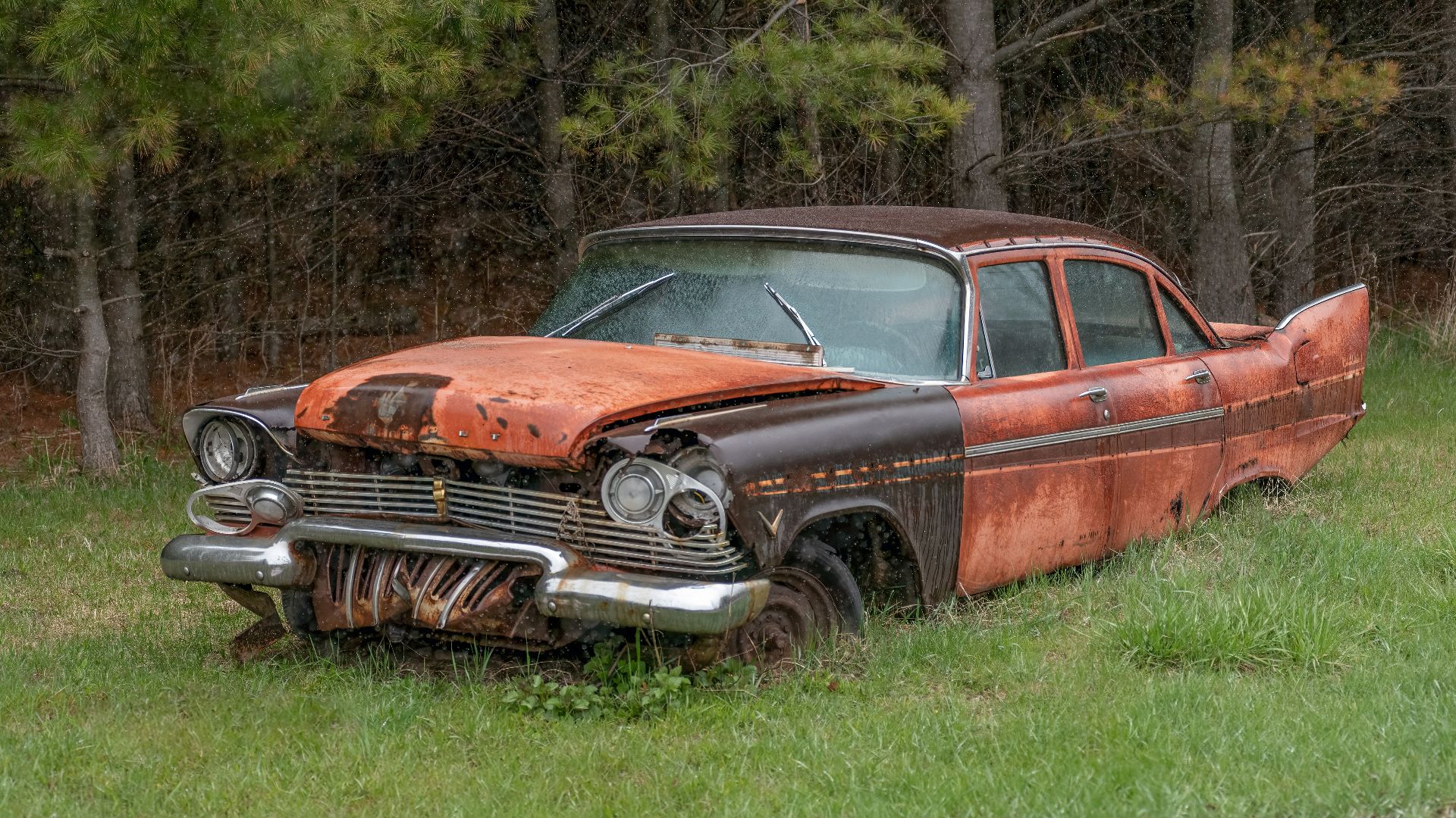 brown and black vintage car on green grass field