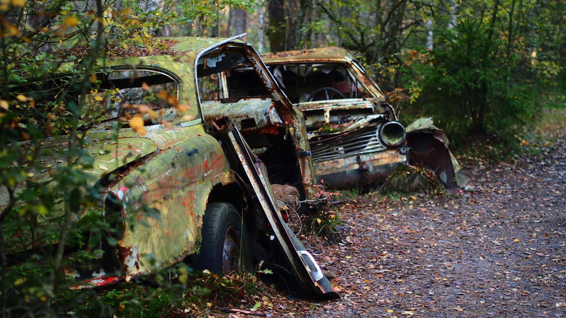 a rusted out car sitting in the middle of a forest