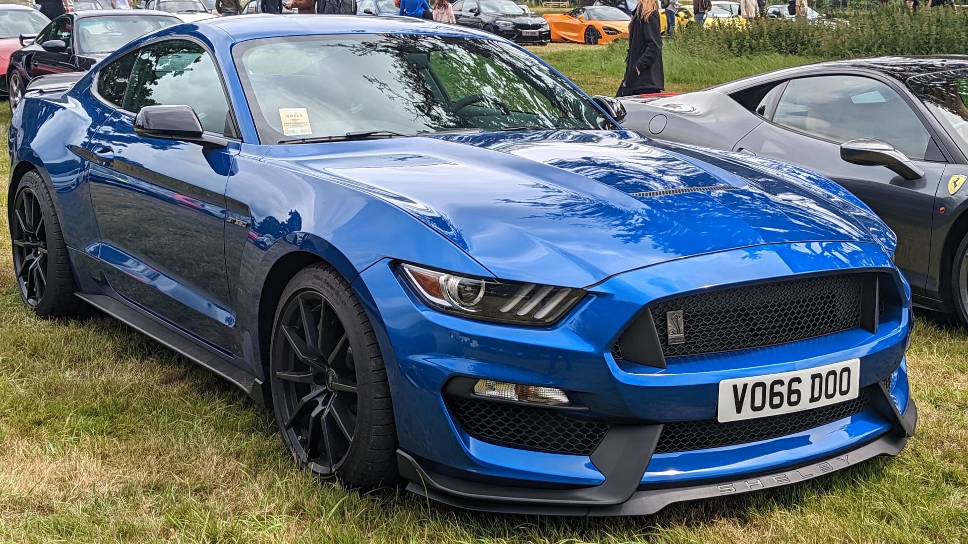 File:2016 Ford Mustang Shelby GT350.jpg