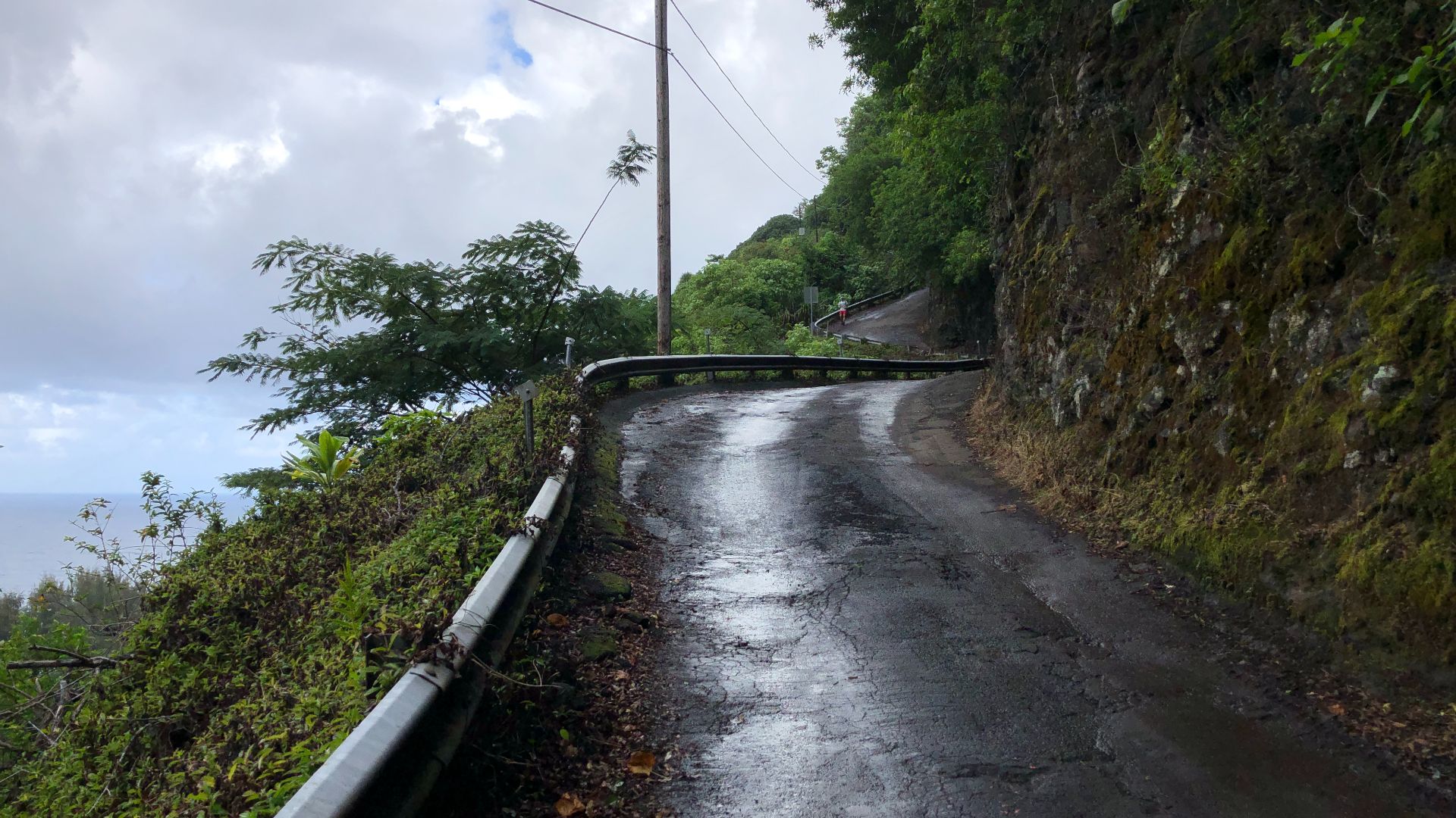 File:2021-10-10 16 13 15 View northeast along Waipio Valley Road at about 320 feet above sea level in Waipio, Hawaii County, Hawaii.jpg