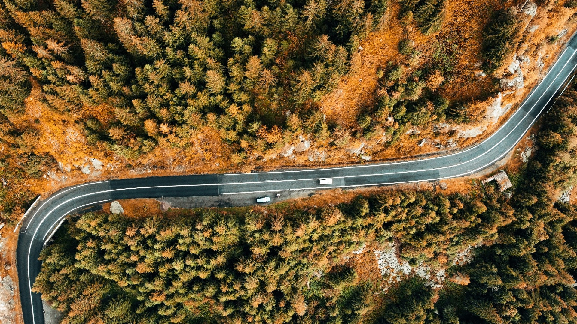 an aerial view of a road in the middle of a forest