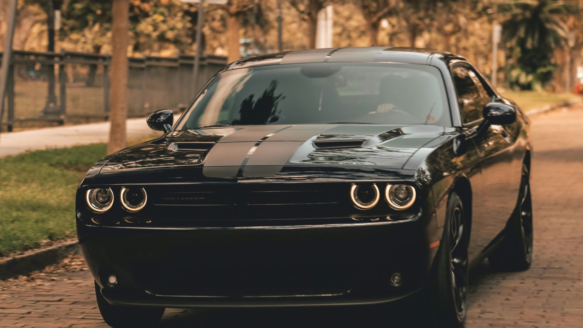 179322031607de919c0e62e6842e83752d9a693a927af0f9f8.jpg