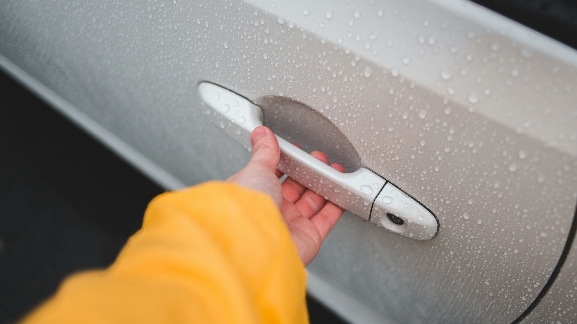 person holding gray and black hair brush