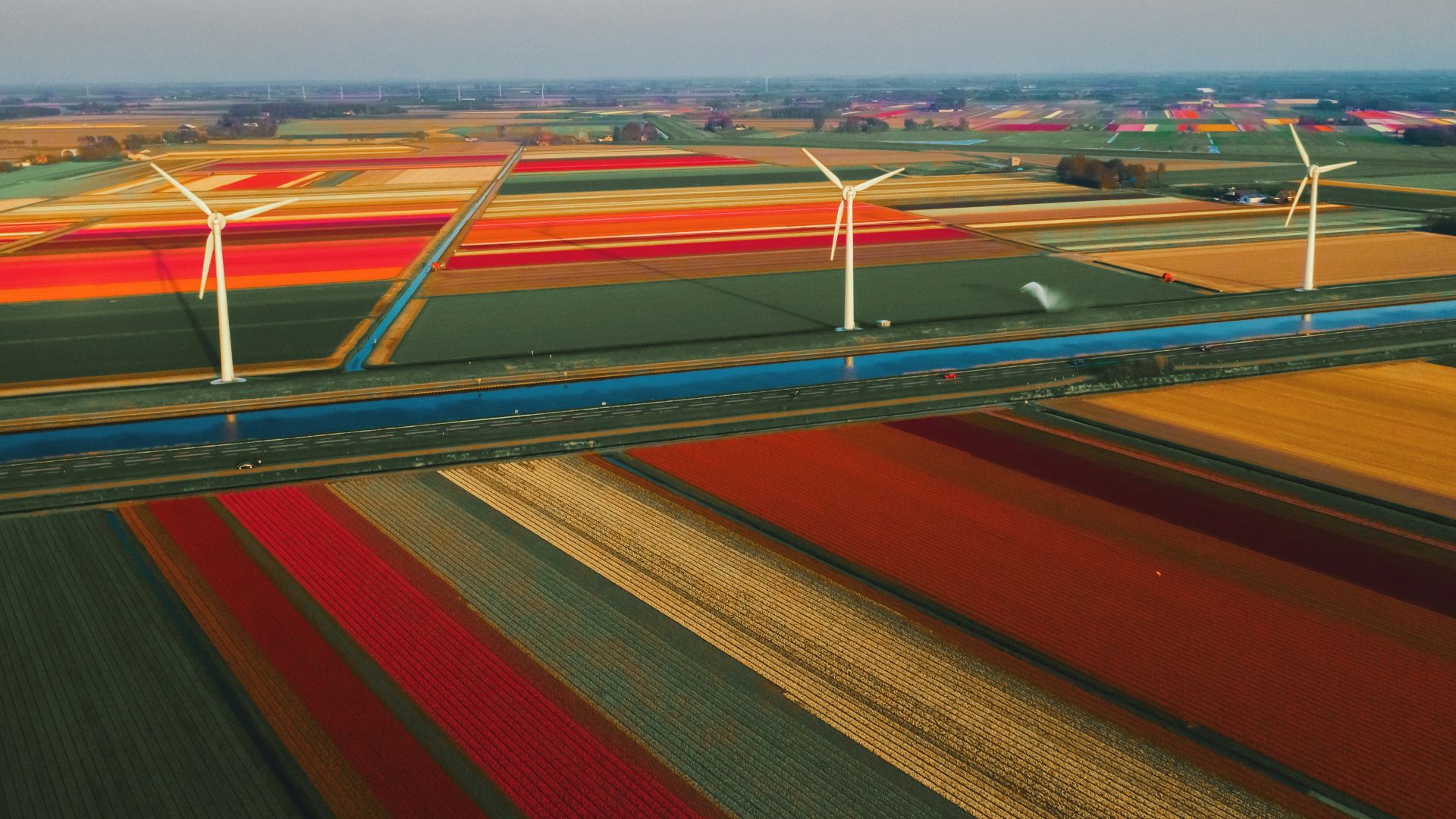 three white wind turbines