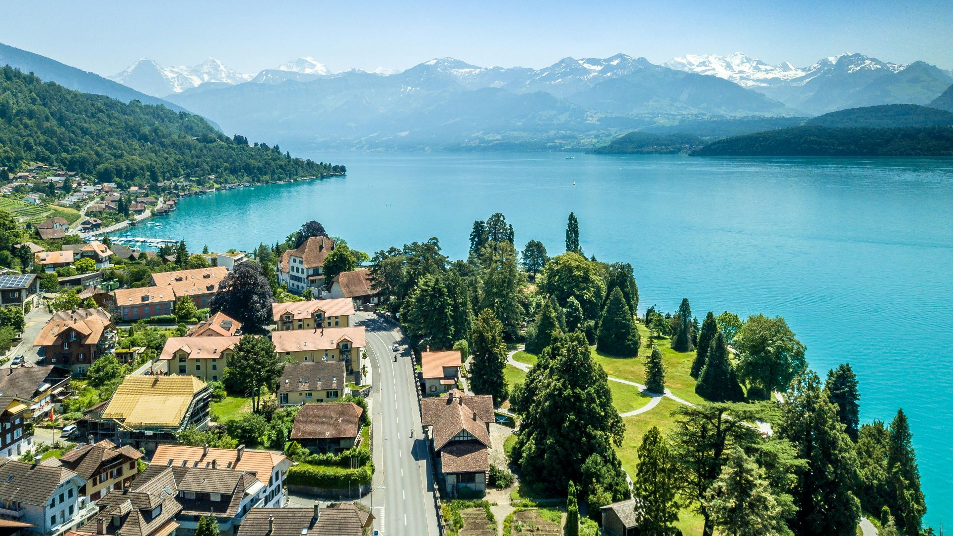 green trees near body of water during daytime