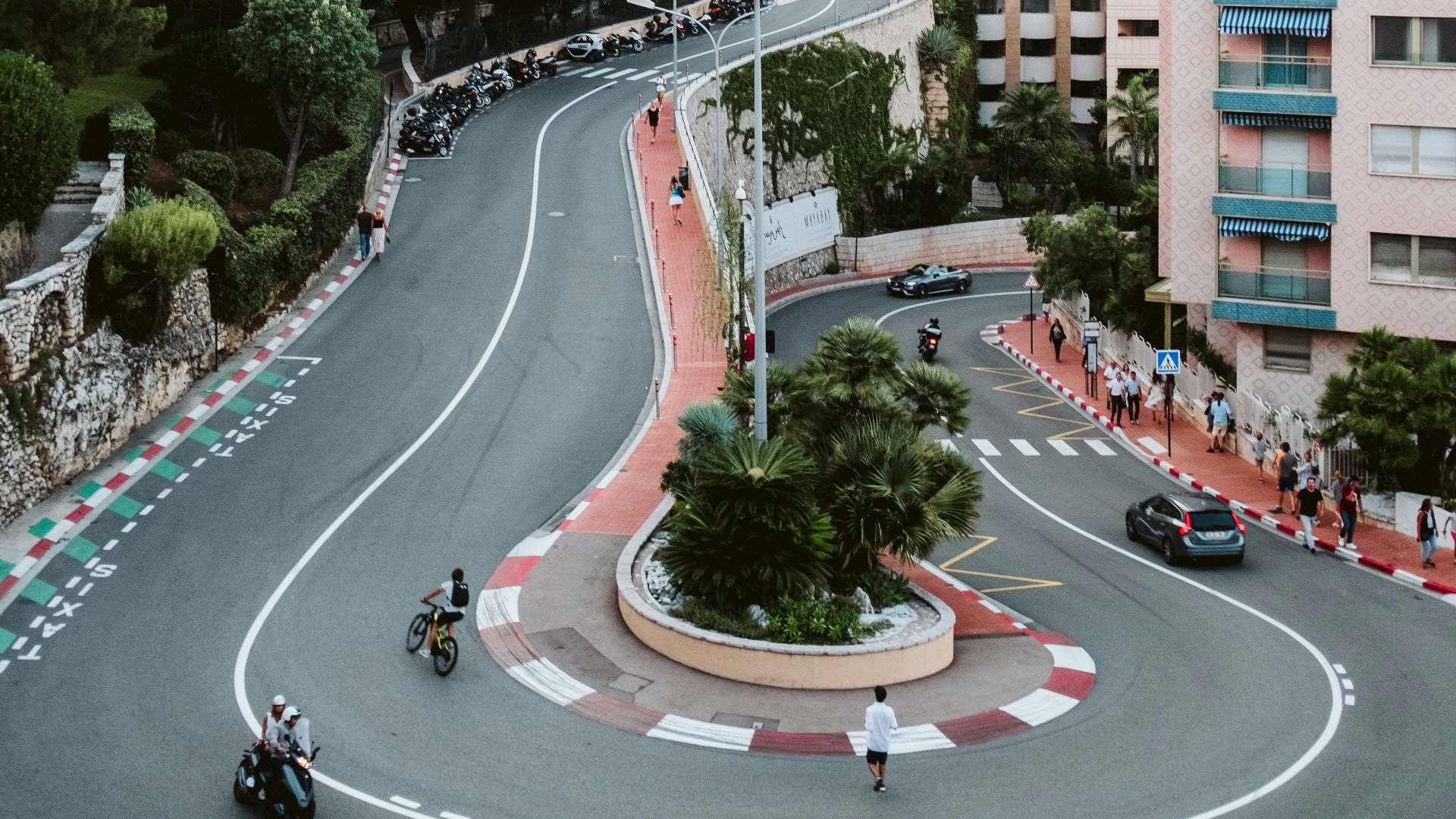 cars on road near trees and buildings during daytime