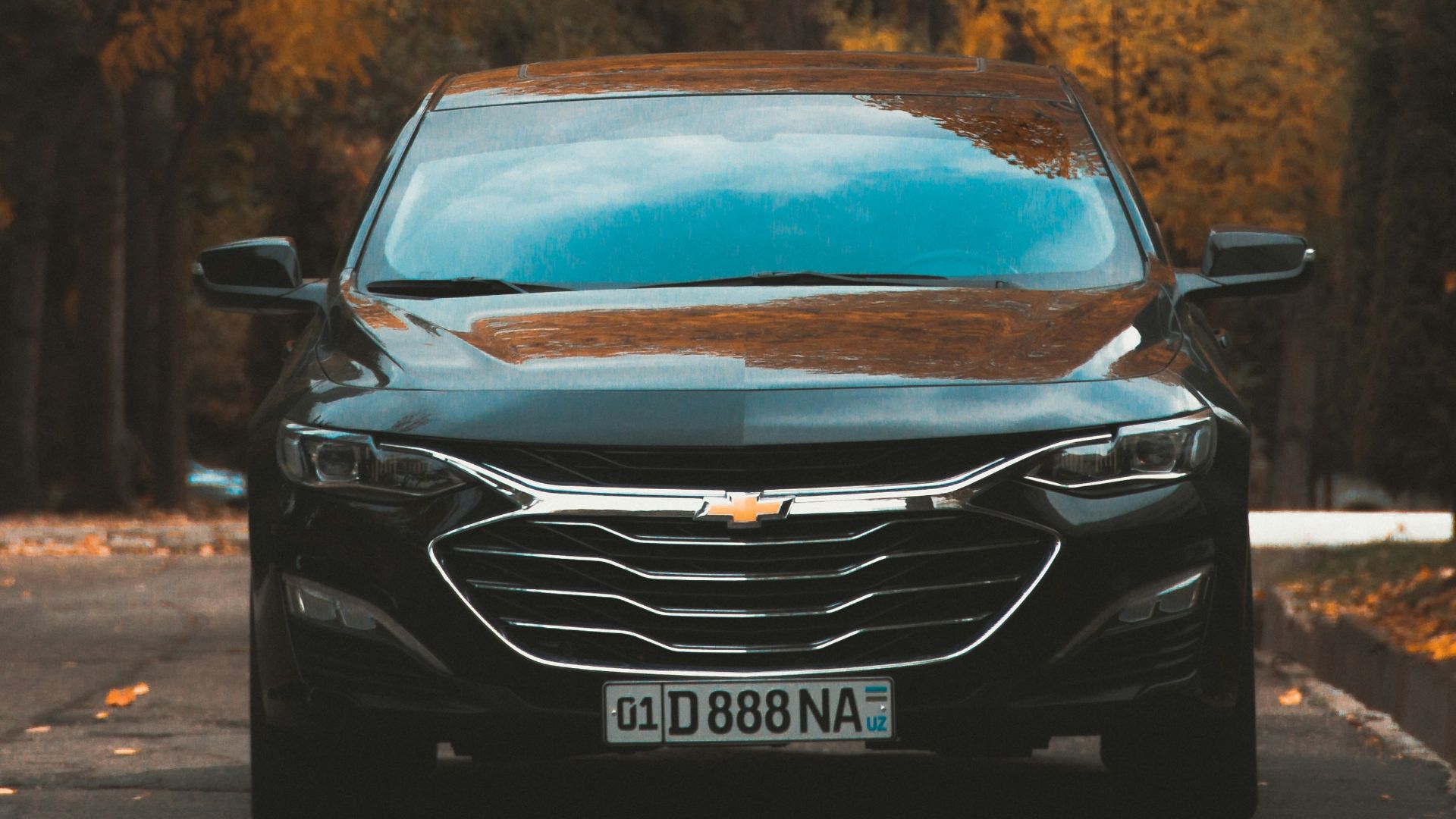 a car parked on the side of the road in front of a tree