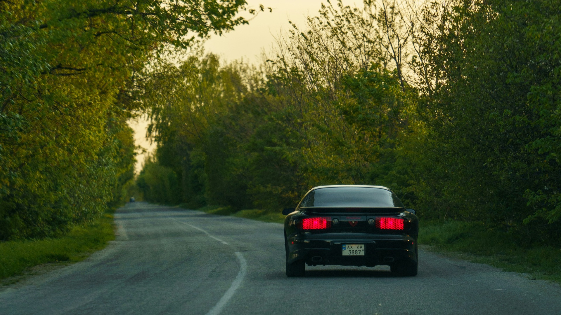 a black car driving down a tree lined road